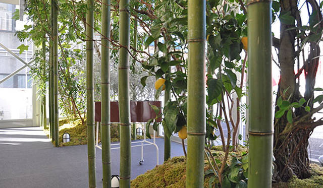 塚田有一│みどりの触知学　BMW Studio ONE　レモン