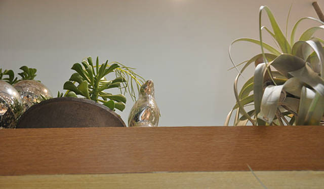 塚田有一│みどりの触知学　BMW Studio ONE　棚上