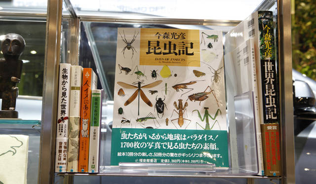 BMW Studio ONE｜今森さんの『昆虫記』