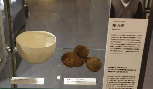 BMW Studio ONE｜幅さんのラゲッジ 内田鋼一さんの器とご両親が育てたサトイモ （発芽中）