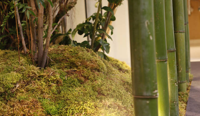 BMW Studio ONE｜温室の竹