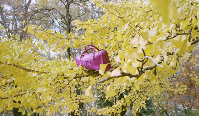 LOEWE｜ロエベ｜AMAZONA BAG