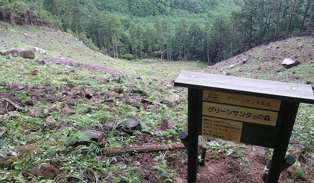 <b>伊勢丹｜2009年 Merry Green Christmas クリスマス チャリティ キャンペーン</b><br>2007年のグリーンサンタ®の森（写真＝グリーンサンタ基金）