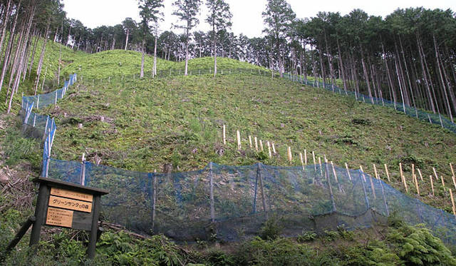 <b>伊勢丹｜2009年 Merry Green Christmas クリスマス チャリティ キャンペーン</b><br>2008年のグリーンサンタ®の森（写真＝グリーンサンタ基金）