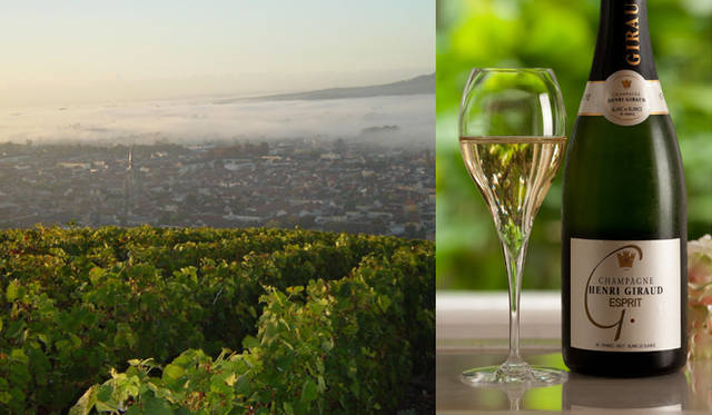 HENRI GIRAUD｜アンリ・ジロー｜ブドウ畑｜シャンパン