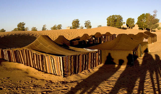 Twiggy｜モロッコのホテル「メルズーガホテルリスト（大砂丘内キャンプ）（Auberge Cafe du Sud）（Dar El Janoub）」。アトラス山脈を超えワルザザードを過ぎサハラ砂漠の中にあるホテル。