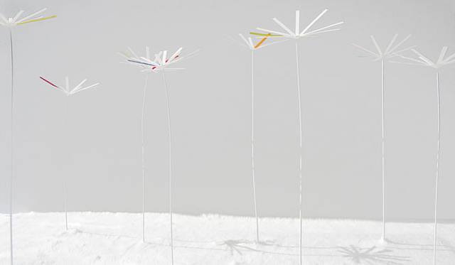 熊谷彰博｜ALEKOLE｜「Perfume flower」 2007