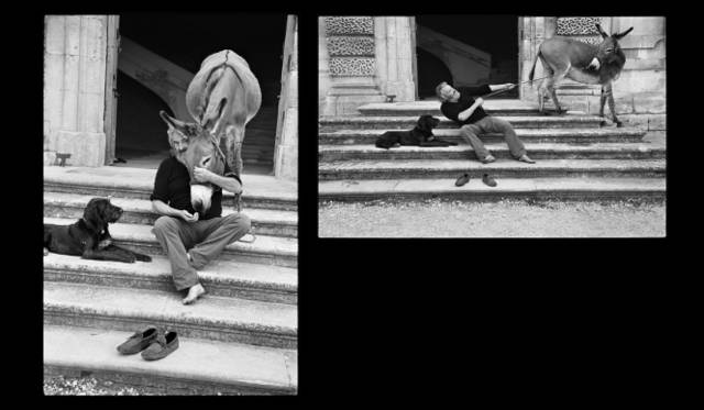 トッズ｜TOD’S　写真家エリオット・アーウィットによる『ICONS BY AN ICON』