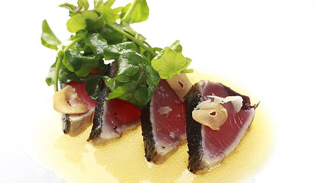 TOUCH WOOD ～For Forever Forest～｜Restaurant-I（レストランアイ）　スペシャルメニュー「more treesコース」