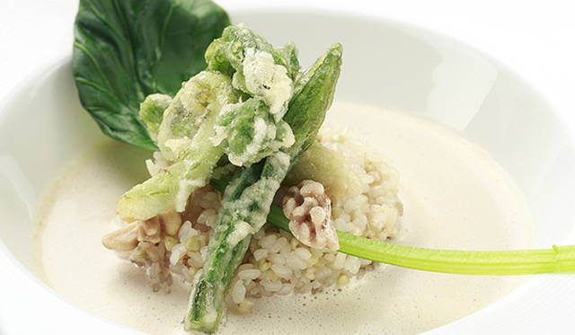 TOUCH WOOD ～For Forever Forest～｜Restaurant-I（レストランアイ）　スペシャルメニュー「more treesコース」