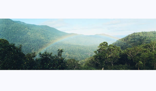 TOUCH WOOD ～For Forever Forest～｜M.HASUI　「untitled #2, 2009」