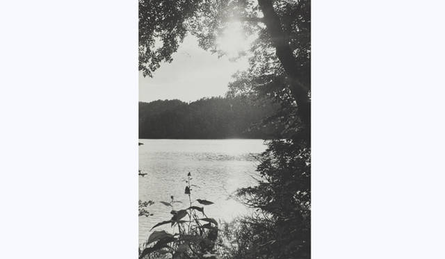 TOUCH WOOD ～For Forever Forest～｜M.HASUI　「木を詠む#3, 2009」