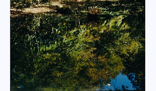 TOUCH WOOD ～For Forever Forest～｜MOTOKO 「Aomori-Hakkoda」