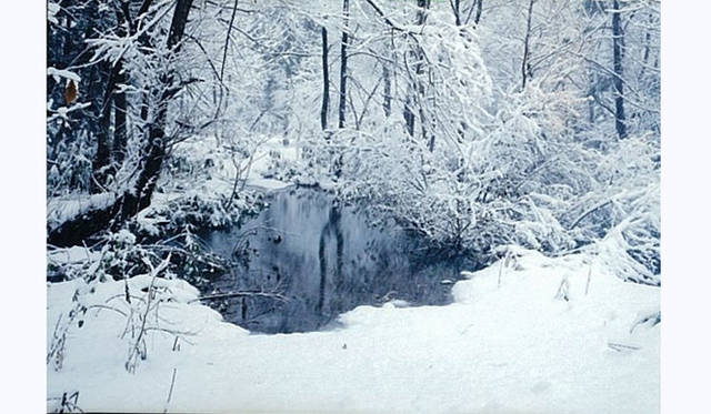 TOUCH WOOD ～For Forever Forest～｜MOTOKO 「Akita-Hachimantai」