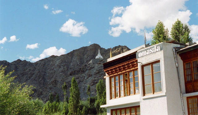 Twiggy｜ラダックのホテル「omasila」