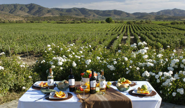 <b>VINA VENTISQUERO｜チリワイン「ヴィーニャ・ベンティスケーロ」</b>