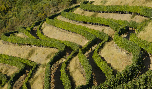 <b>VINA VENTISQUERO｜チリワイン「ヴィーニャ・ベンティスケーロ」</b>