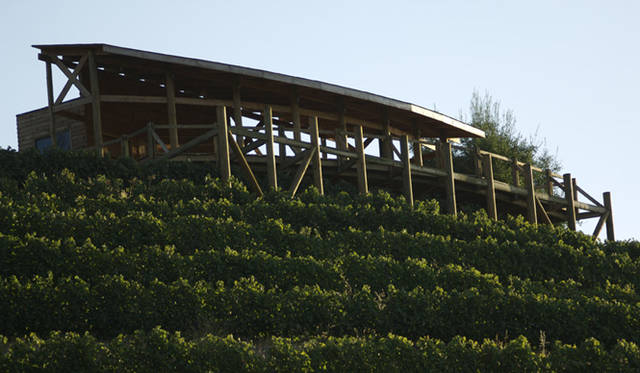 <b>VINA VENTISQUERO｜チリワイン「ヴィーニャ・ベンティスケーロ」</b>