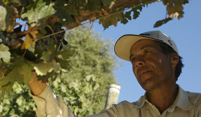 <b>VINA VENTISQUERO｜チリワイン「ヴィーニャ・ベンティスケーロ」</b>