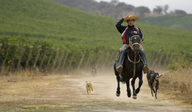 <b>VINA VENTISQUERO｜チリワイン「ヴィーニャ・ベンティスケーロ」</b>