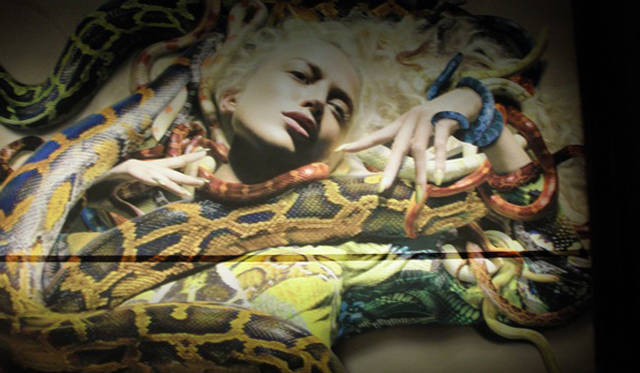 <b>連載｜萩原輝美のファッション・デイズ</b>　アレキサンダー・マックイーンのブティック前に飾られていｔｓ、2010SSの広告ビジュアル。