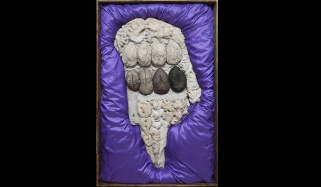 ATAK 渋谷慶一郎書き下ろし作品「死なないための葬送曲」国立国際美術館にて初公開<br />荒川修作 『抗生物質と子音にはさまれたアインシュタイン』　1958-59年　国立国際美術館蔵　©Shusaku Arakawa  写真＝福永一夫