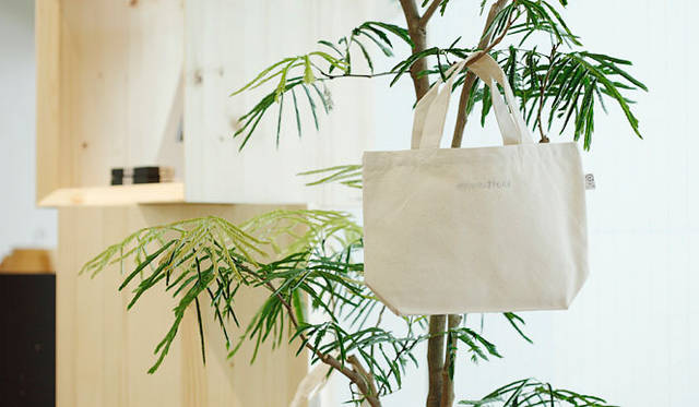 <b>Spiral Market×more trees｜スパイラルマーケット×モア・トゥリーズ</b>　夏のイベント「FEEL GREEN」開催中