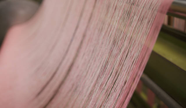 <b>MIHARAYASUHIRO｜三原康裕</b> 経通しされた経糸。ピンク色なのは筬に通しやすくするために着色されているからだ