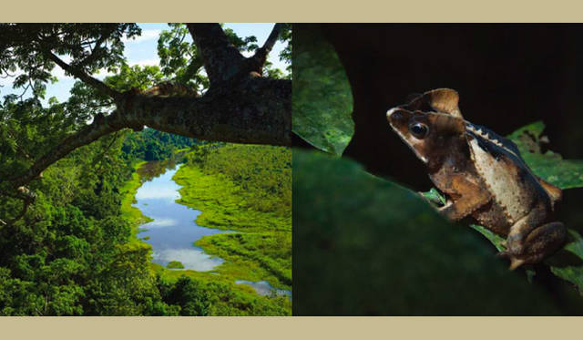 <b>nanamica｜ナナミカ</b>　ナナミカ×ミノトールがセッション！　「ROOTS OF LIFE」プロジェクト第2弾