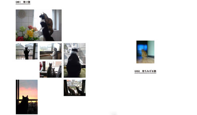 <b>アノニマ・スタジオ｜猫とくらす</b>　74-75ページより