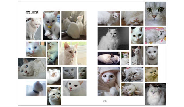 <b>アノニマ・スタジオ｜猫とくらす</b>　98-99ページより