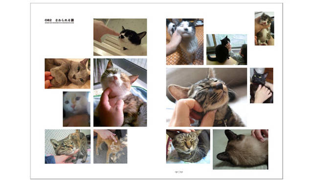 <b>アノニマ・スタジオ｜猫とくらす</b>　130-131ページより