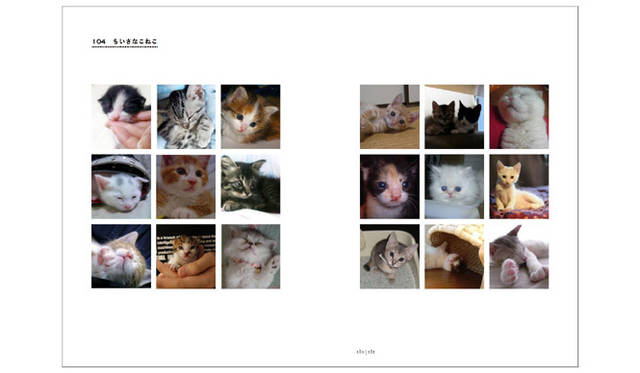 <b>アノニマ・スタジオ｜猫とくらす</b>　280-281ページより