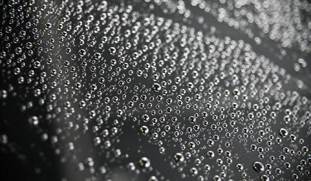 <b>MERCEDES BENZ｜メルセデス・ベンツ E 350 ブルーテック アバンギャルド</b>　雨汚れがつきにくいヤナセ独自のパールフィニッシュ。