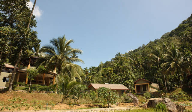 <b> AYU PIYASA｜アーユピヤサ</b>　「癒しと浄化のアーユルヴェーダビューティキャンプ」