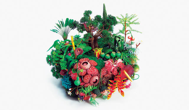 <b>iida LIGHT POOL｜イーダ ライトプール</b>　「Art Editions Concept BOTANICA」東信