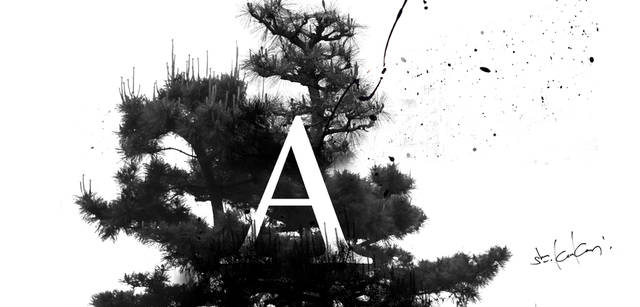 CITROEN DS3｜シトロエン DS3 × Graphic Design artless代表 川上俊