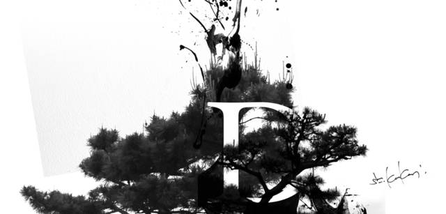 CITROEN DS3｜シトロエン DS3 × Graphic Design artless代表 川上俊