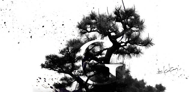 CITROEN DS3｜シトロエン DS3 × Graphic Design artless代表 川上俊