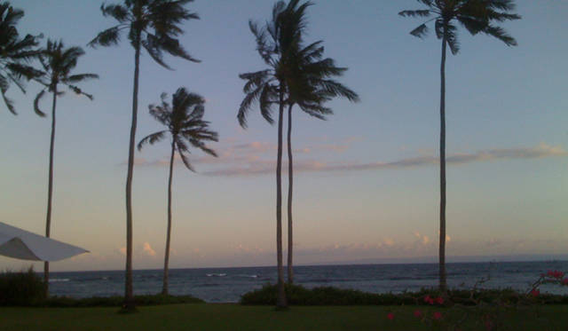 EVENT｜タブロイド屋上テラスにてイベント「SECOND TRIP at TABLOID ROOFTOP」開催！