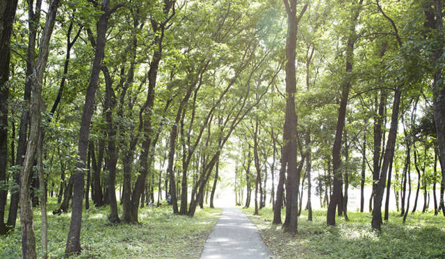 <b>Market Terrace｜マーケットテラス</b>　『Marke TERRACE』は市場の敷地内にある森のなかに。