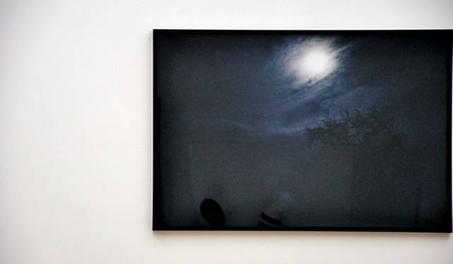 <b>塚田有一│みどりの触知学</b>　第8回：うつ　うつろひ　うつつ