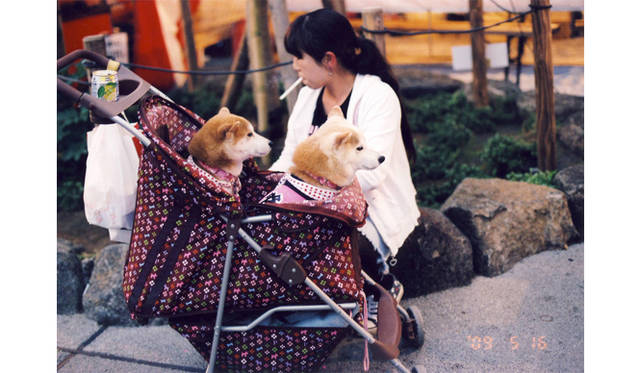 ART｜梅佳代写真展「ウメップ」表参道ヒルズにて開催　