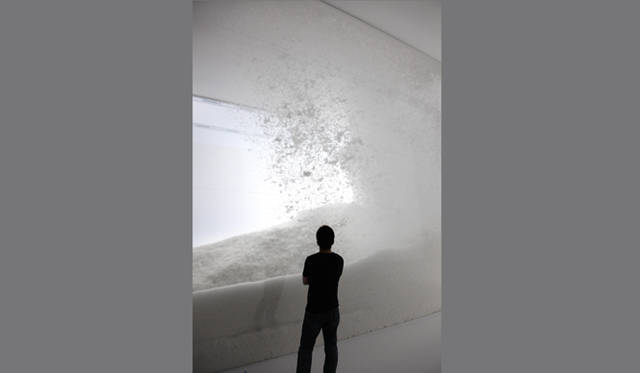 <b>ネイチャー・センス展</b>