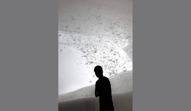 <b>ネイチャー・センス展</b>