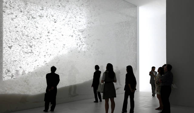 <b>ネイチャー・センス展</b>