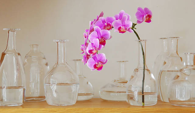 <b>doinel｜ドワネル</b>　山野-アンダーソン 陽子 「AZボトル」