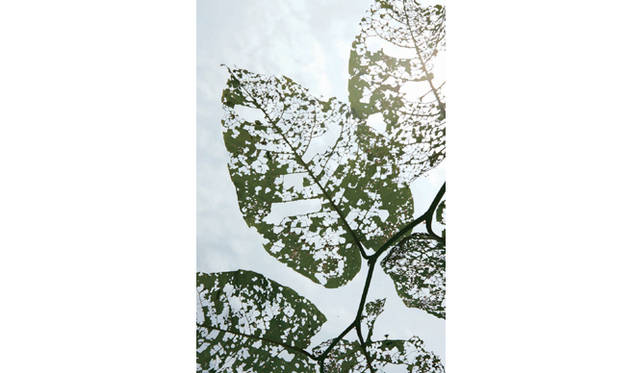 BOOK｜奈良美智、川内倫子ら現代アーティストの写真で綴るまど・みちお詩集『うちゅうの目』