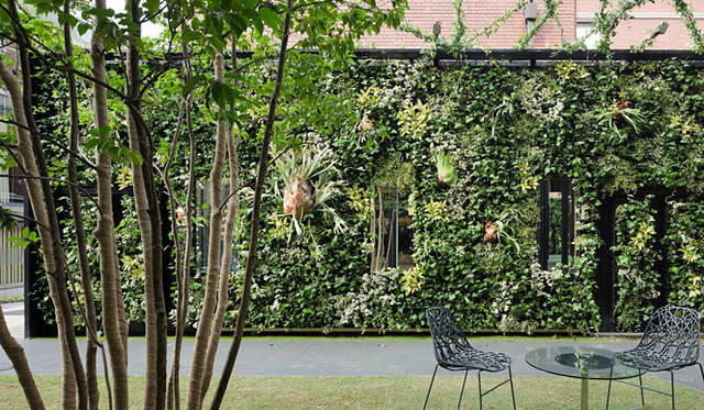 <b>valveat 81｜ヴァルヴィート エイティーワン</b>　気持ちいい緑が広がるガーデン