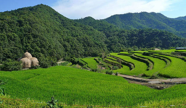 <b>瀬戸内国際芸術祭2010</b>　王文志の小豆島の家